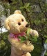 Teddybear Maks and apple flower
