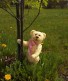 Teddybear Maks about tree